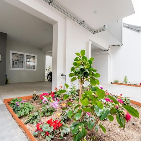 Appartement Iaira à Athènes Extérieur photo